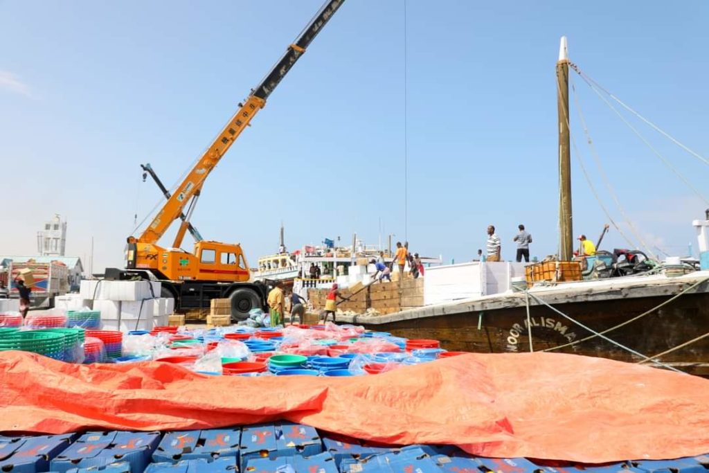 Sidee usocotaa Shaqada Dekeda Bosaso?