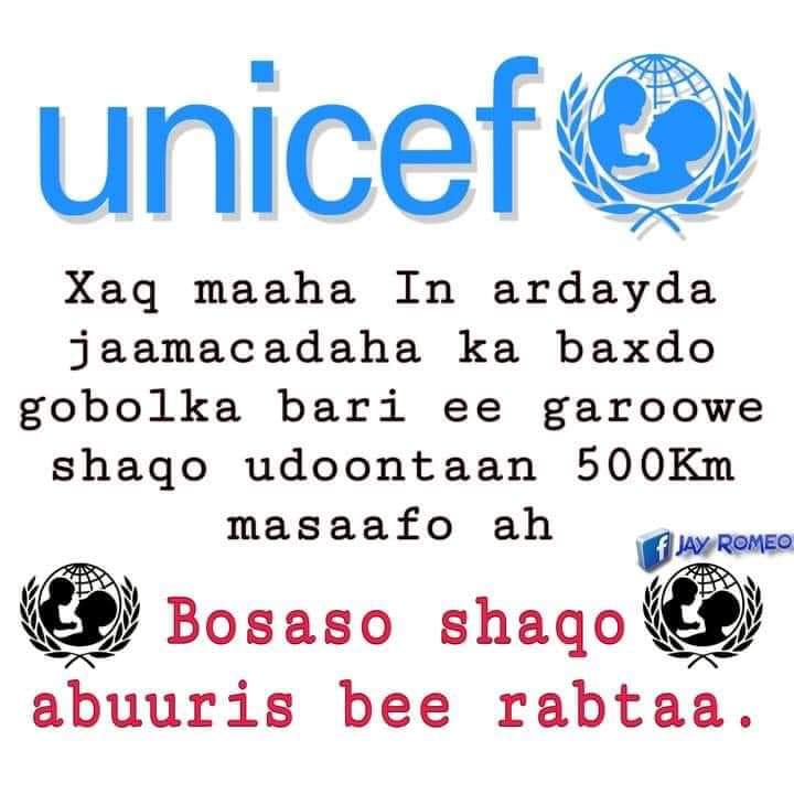 Puntland waxay ubaahi qabtaa Adeeg daadajin!!