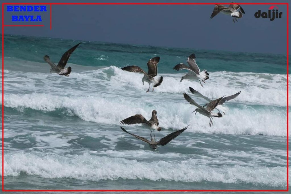 Taariikhda Degmada Bender Beyla