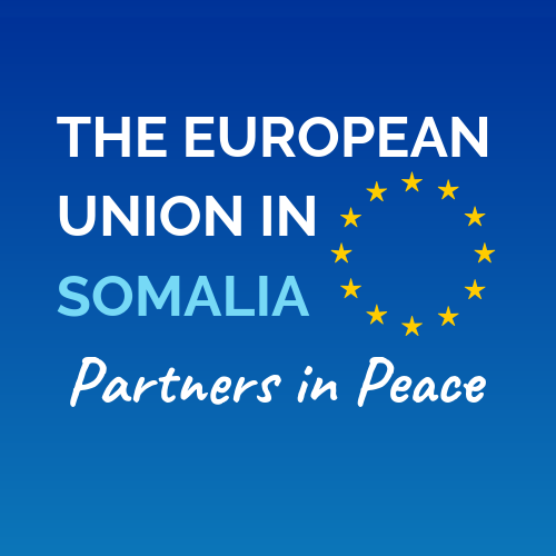 Midowga Yurub Oo Madaxda Somalida ka Diyaarinaya xayiraado ka baaxad weyn kuwa Maraykanka