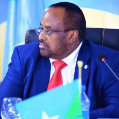 Waare oo ku baaqay  in cunaqabatayn lagu soo rogo kuwa carqaladaynaya Doorashada