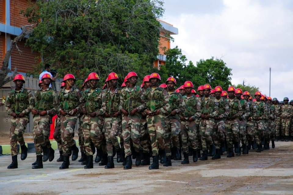 SOMALIYA MA LEEDAHAY CIIDAMO QARAN?W/Q: Musse Said Aw-Musse