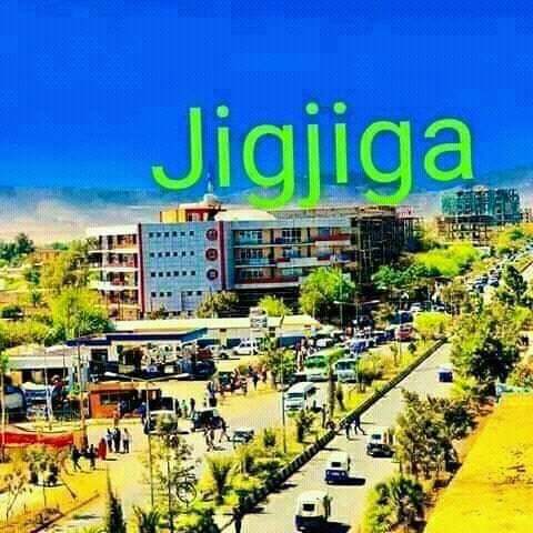 Jig-jiga oo qarka usaaran in laga dhigo ismaamul gaar ah