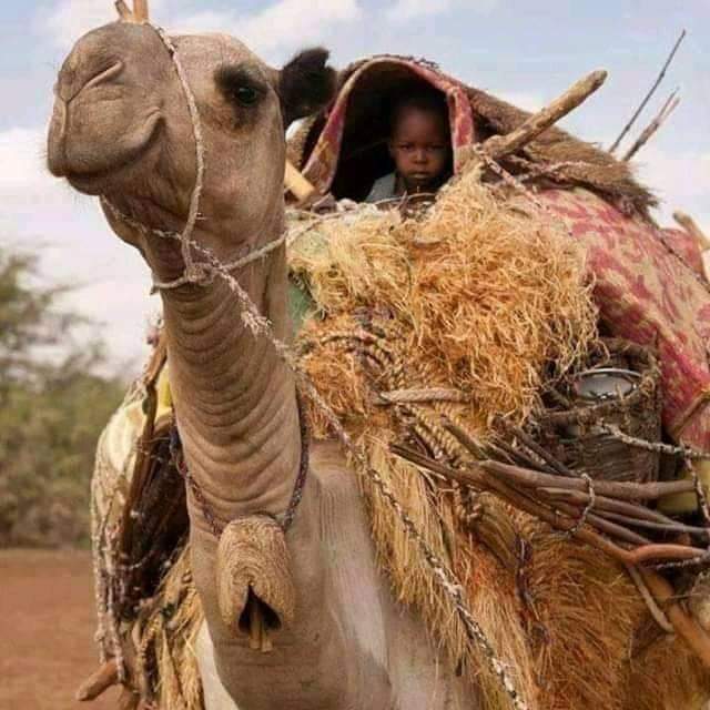Fariin iyo talo soo jeedin ku socota Dhaqanka Puntland