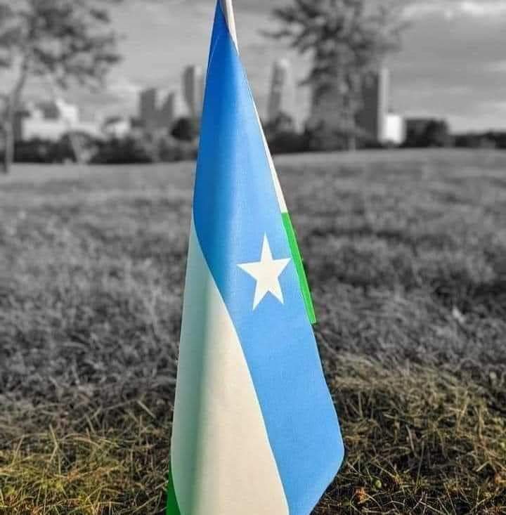 Golaha Aqoonyahanka Puntland oo ka hadlay dhacdadii Bosaso