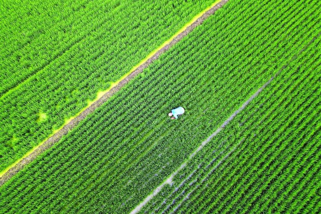 Cunno yaridii ugu badnayd oo caalamku Sanadkan wajahayo
