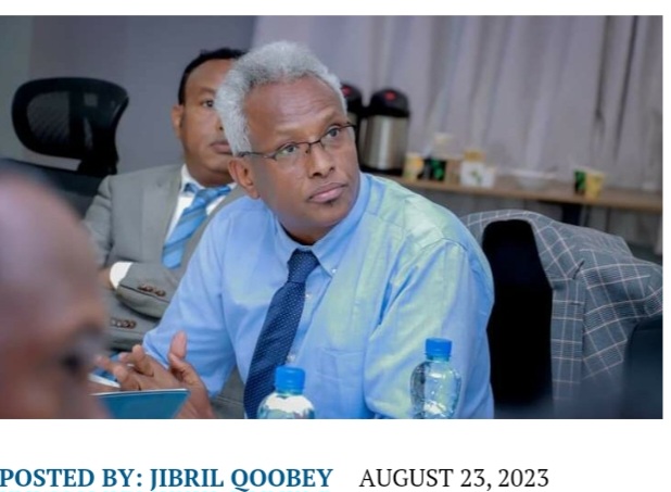 Read: Puntland local council election schedule announced