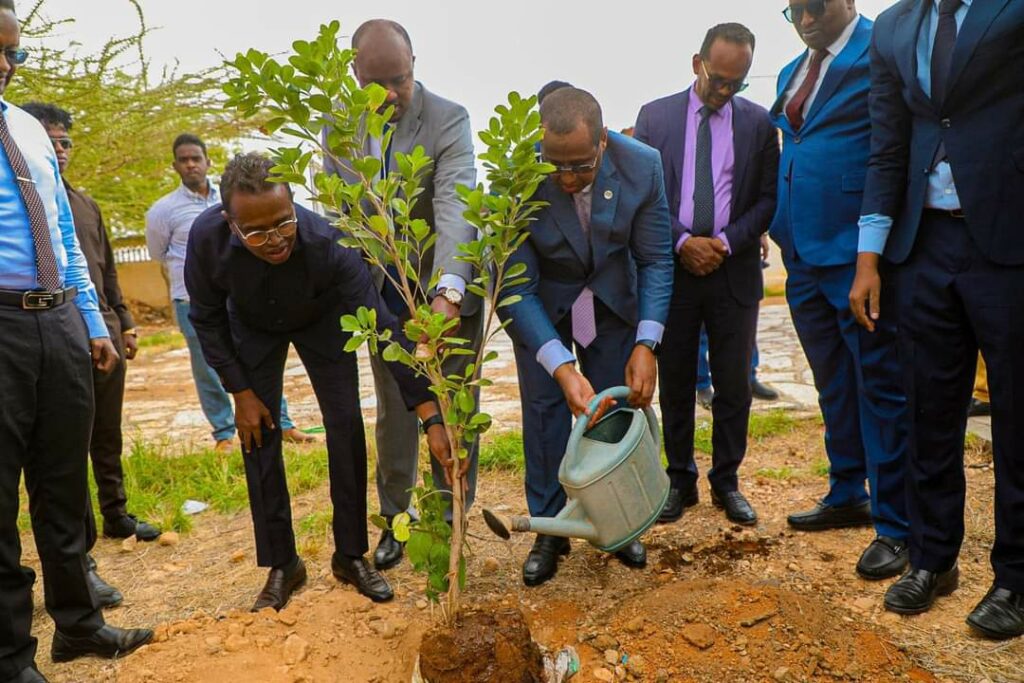 20.000-kun oo Geed oo lagu Beeray Puntland