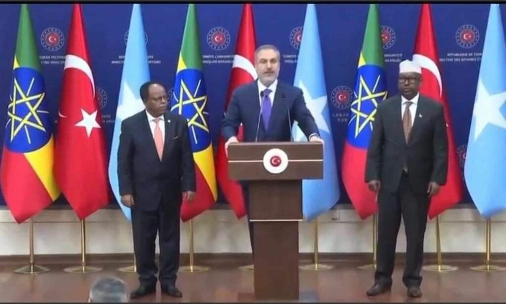 HSM suffered a diplomatic setback from Abiy during talks in Ankara mediated by Turkey