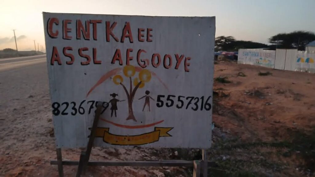 Al-Shabaab Seizes Three Key Bridges Threatening Mogadishu’s Security