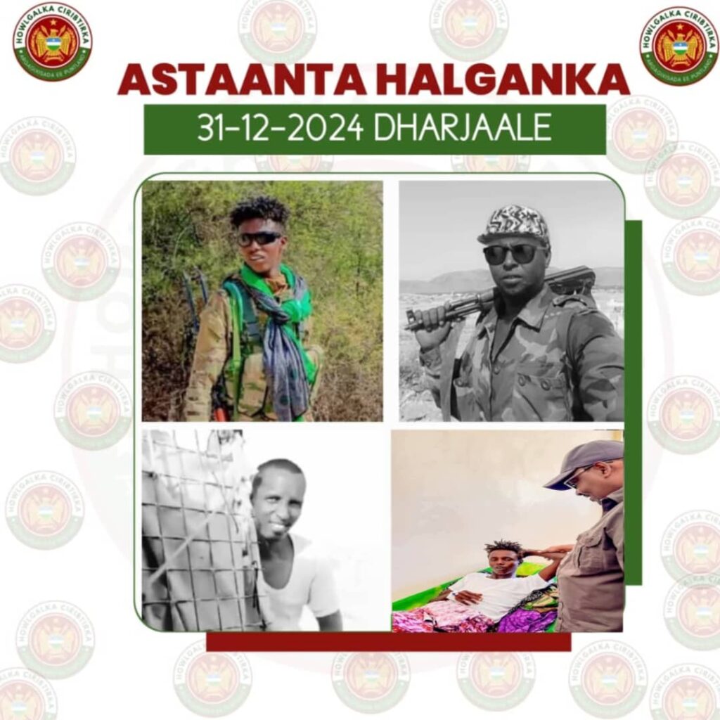 Maxaan ka baranay dagaalka aan kula jirno khawaarijta argagixisada Daacish?