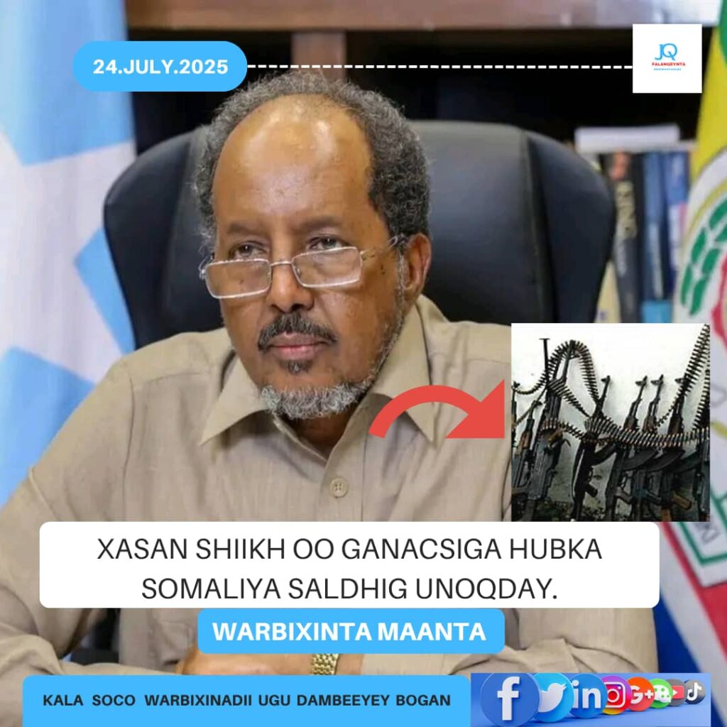 Faallo:-Xasan ma qayb buu ka yahay Ganacsiga Hubka?