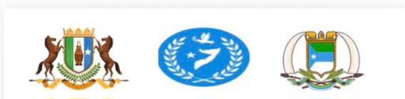 Golaha Mustaqbalka Somaliya oo soo saaray Bayaan