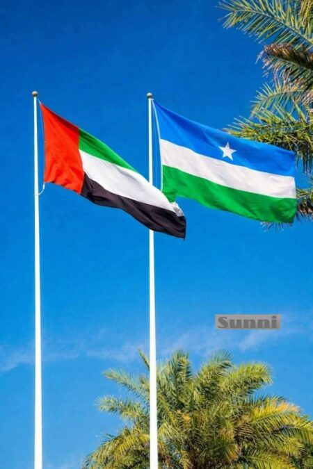 Maxay Dowlada Imaaraadka Carabtu ka taageertaa Puntland?